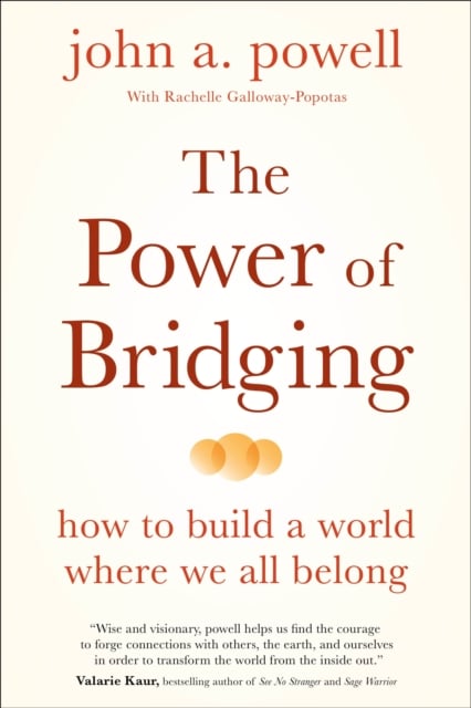 Book cover of The Power of Bridging