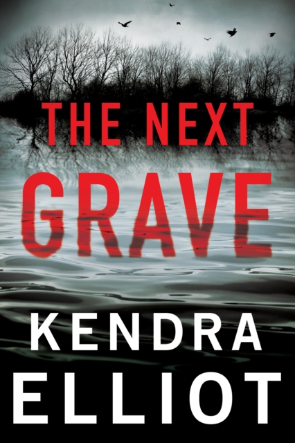 Book cover of The Next Grave