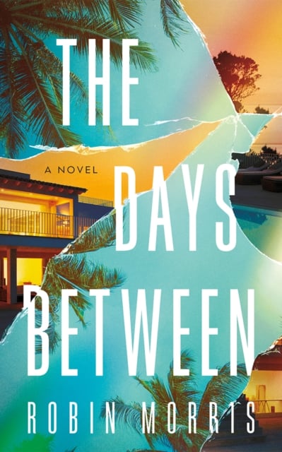 Book cover of The Days Between