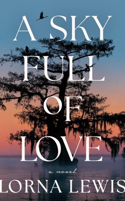 Book cover of A Sky Full of Love