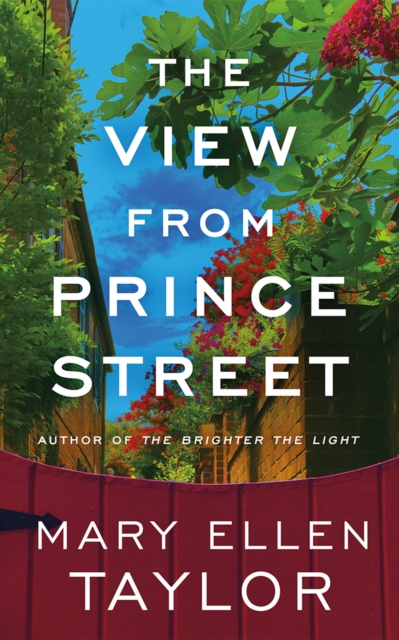 Book cover of The View from Prince Street