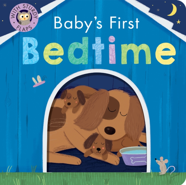 Book cover of Baby's First Bedtime