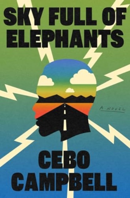 Book cover of Sky Full of Elephants