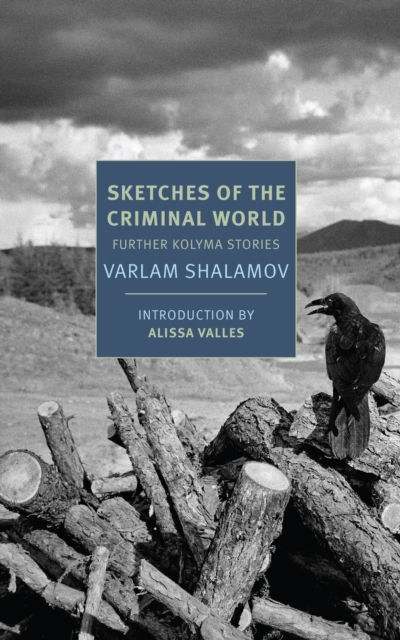Book cover of Sketches of the Criminal World