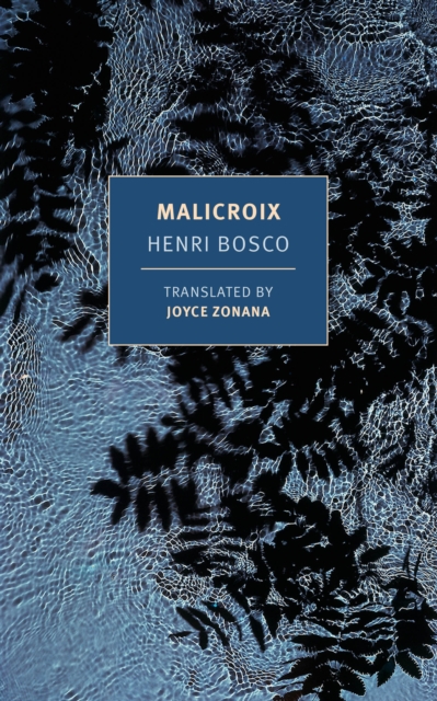 Book cover of Malicroix