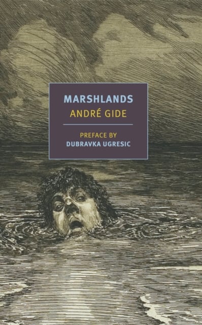 Book cover of Marshlands