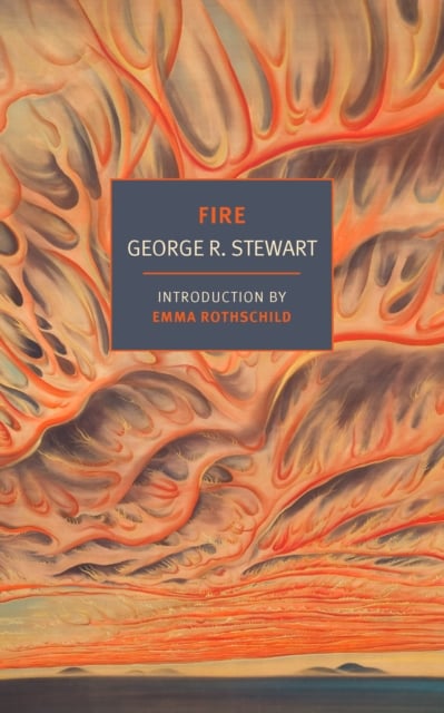 Book cover of Fire