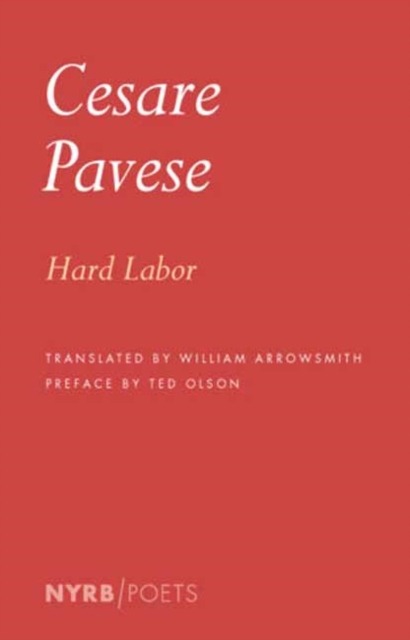 Book cover of Hard Labor