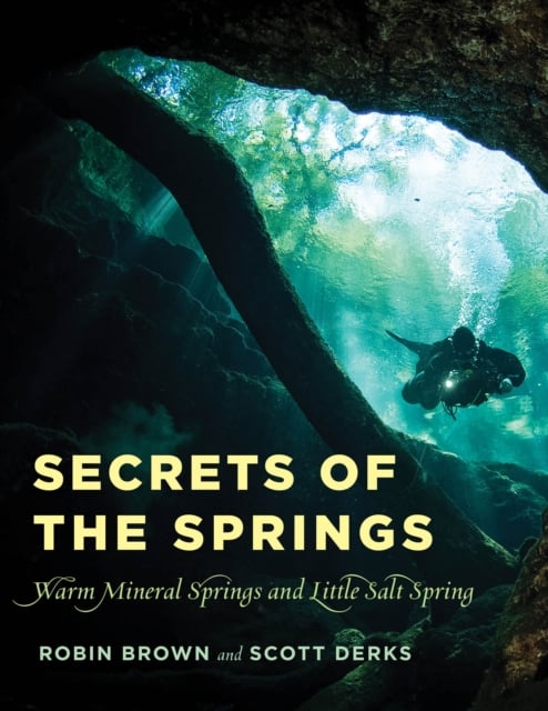 Book cover of Secrets of the Springs