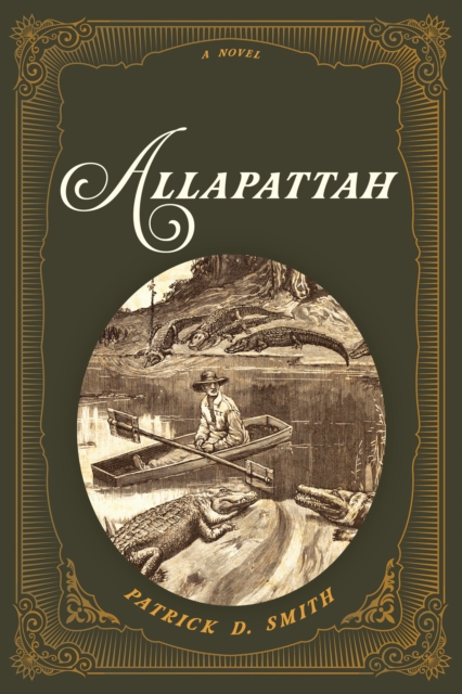 Book cover of Allapattah