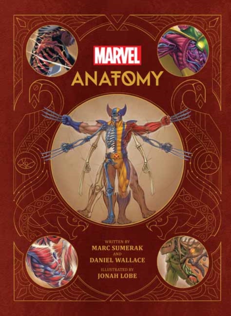 Book cover of Marvel Anatomy