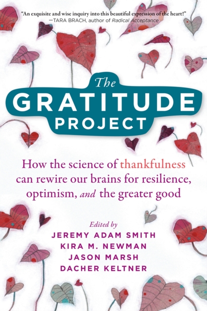 Book cover of The Gratitude Project