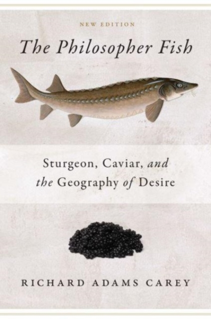 Book cover of Philosopher Fish