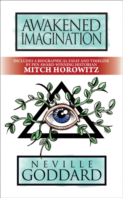 Book cover of Awakened Imagination