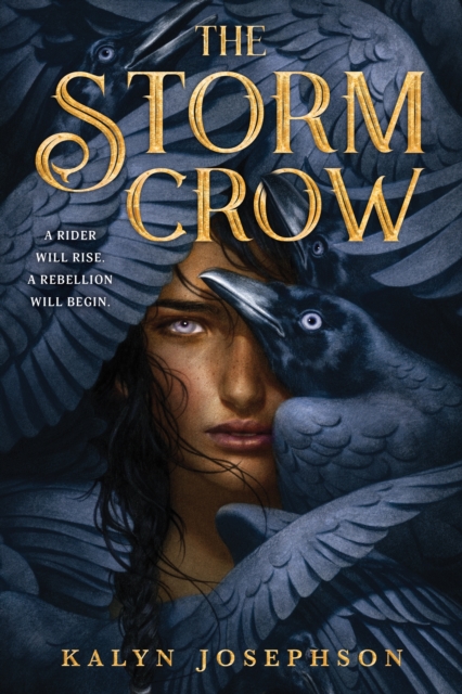 Book cover of The Storm Crow