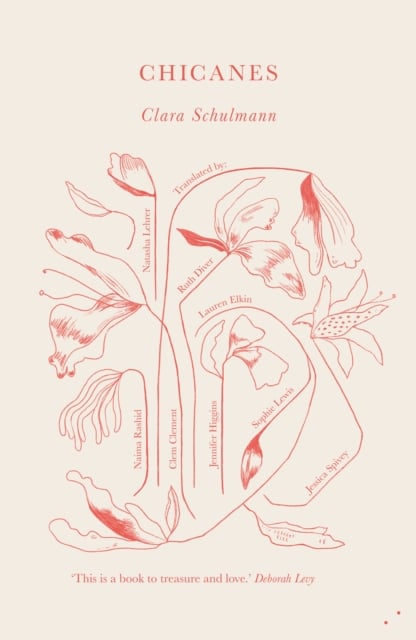 Book cover of Chicanes