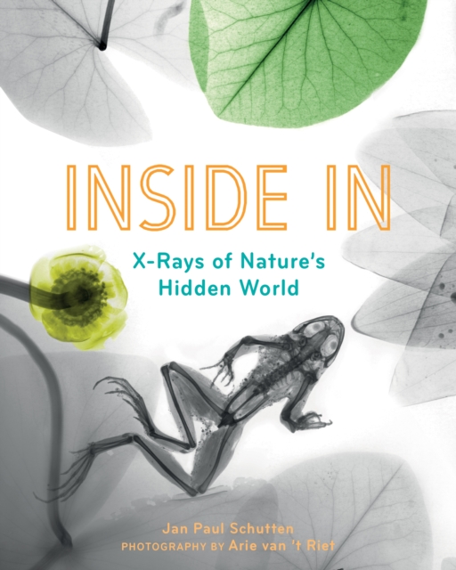 Book cover of Inside In