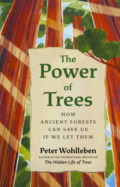 Book cover of The Power of Trees
