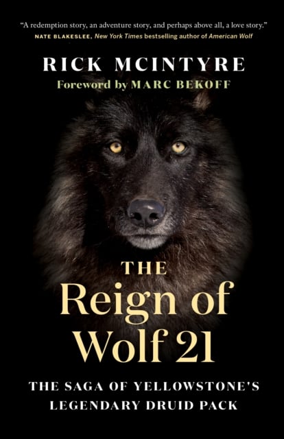 Book cover of The Reign of Wolf 21