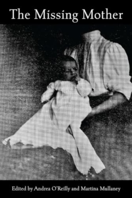 Book cover of The Missing Mother
