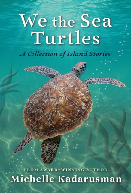 Book cover of We the Sea Turtles