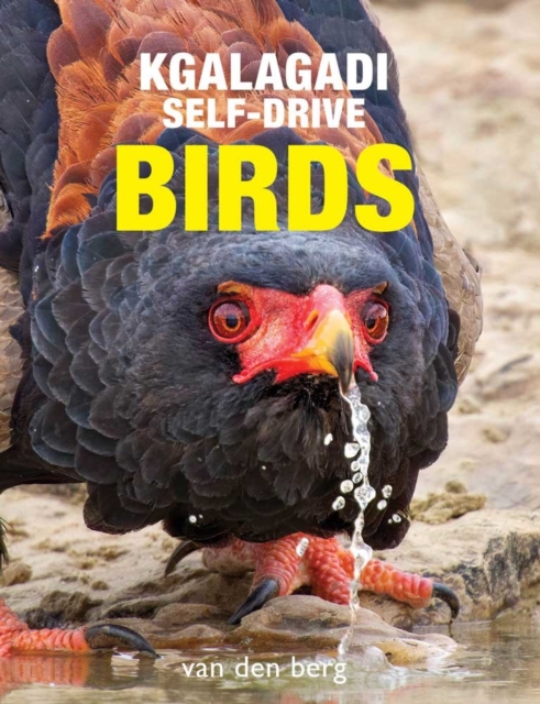 Book cover of Kgalagadi Self-Drive Birds