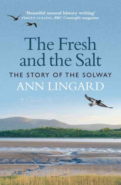 Book cover of The Fresh and the Salt