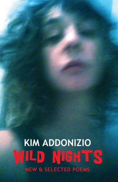 Book cover of Wild Nights