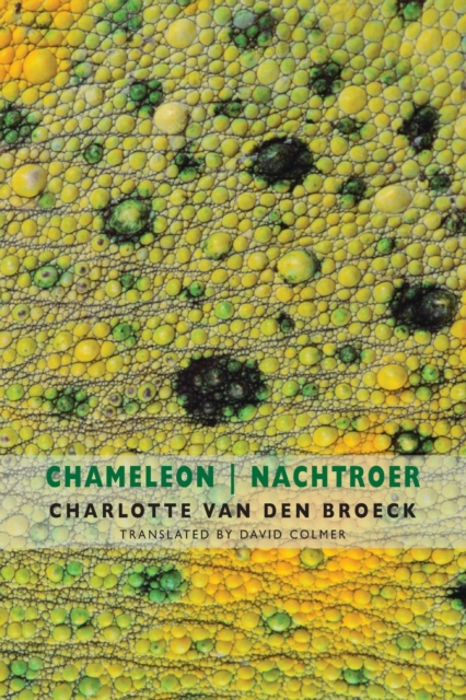 Book cover of Chameleon | Nachtroer