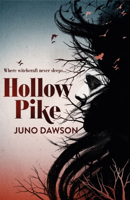 Book cover of Hollow Pike