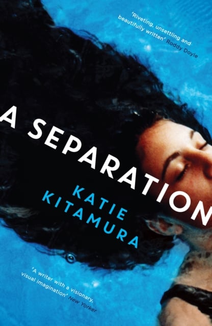 Book cover of A Separation