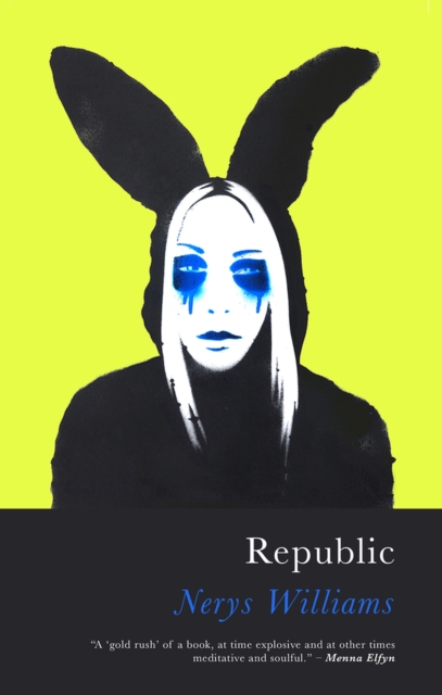 Book cover of Republic