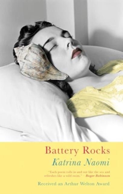 Book cover of Battery Rocks
