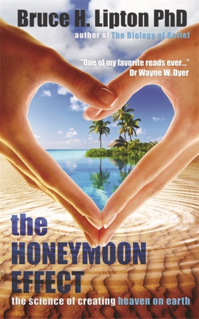 Book cover of The Honeymoon Effect