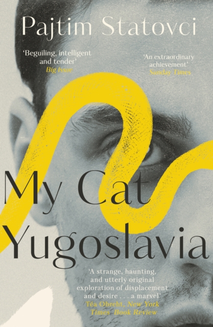Book cover of My Cat Yugoslavia