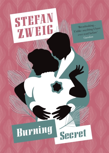 Book cover of Burning Secret