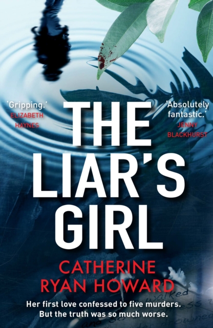 Book cover of The Liar's Girl