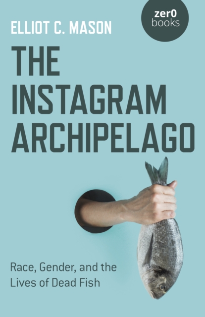 Book cover of Instagram Archipelago, The