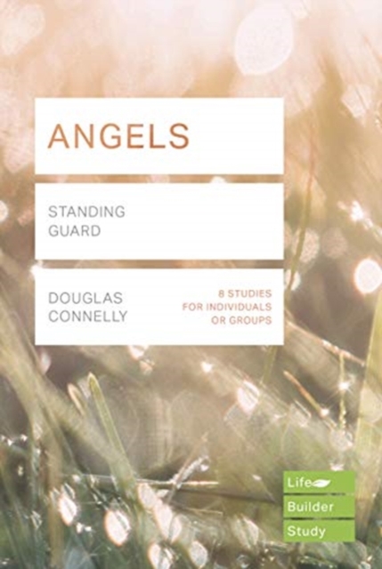 Book cover of Angels (Lifebuilder Study Guides)