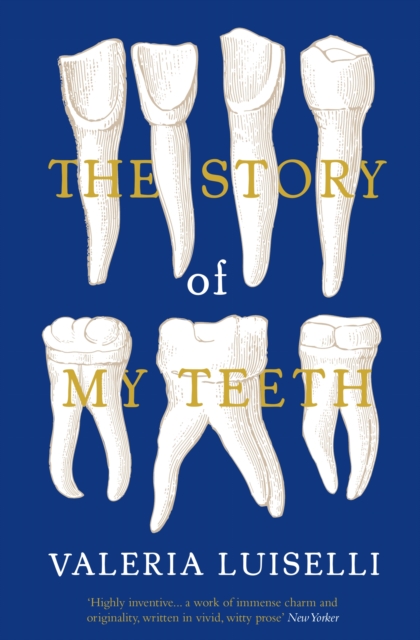 Book cover of The Story of My Teeth