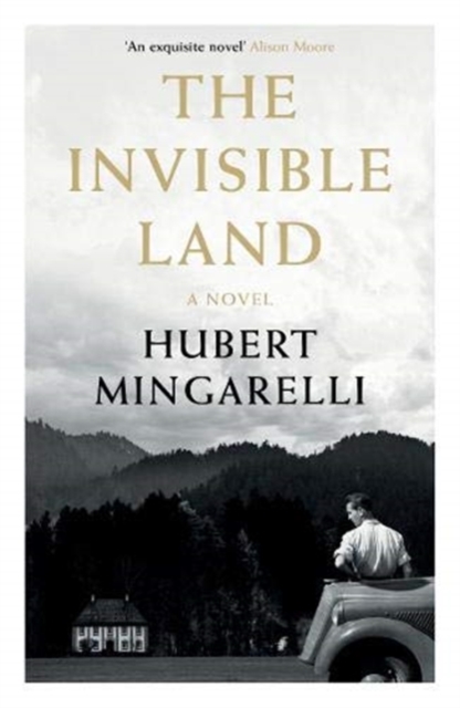 Book cover of The Invisible Land