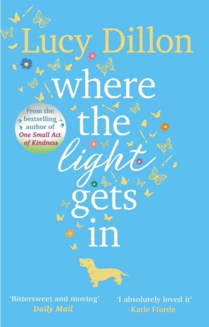 Book cover of Where The Light Gets In