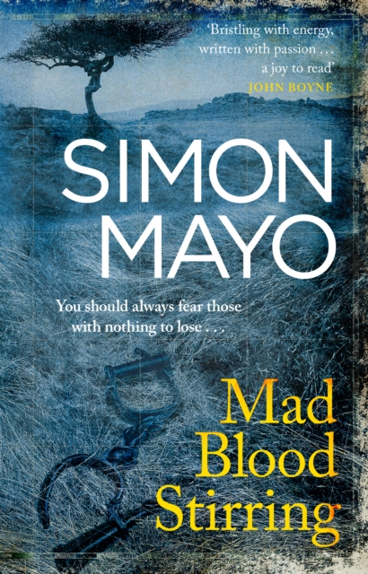 Book cover of Mad Blood Stirring