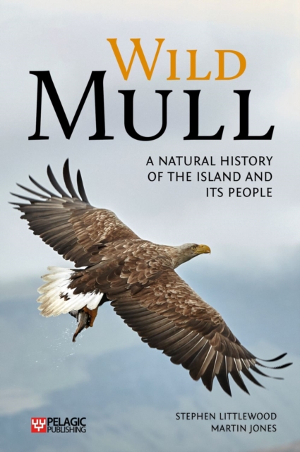 Book cover of Wild Mull