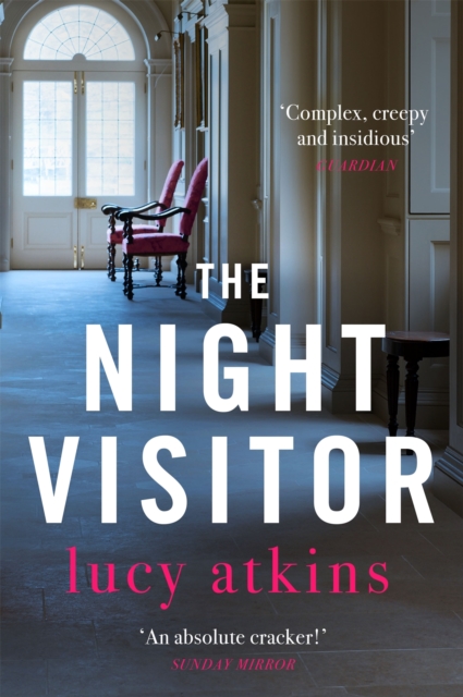 Book cover of The Night Visitor