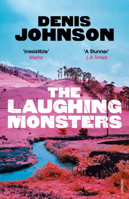 Book cover of The Laughing Monsters