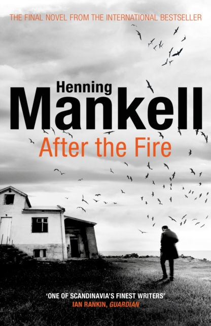 Book cover of After the Fire