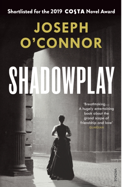 Book cover of Shadowplay