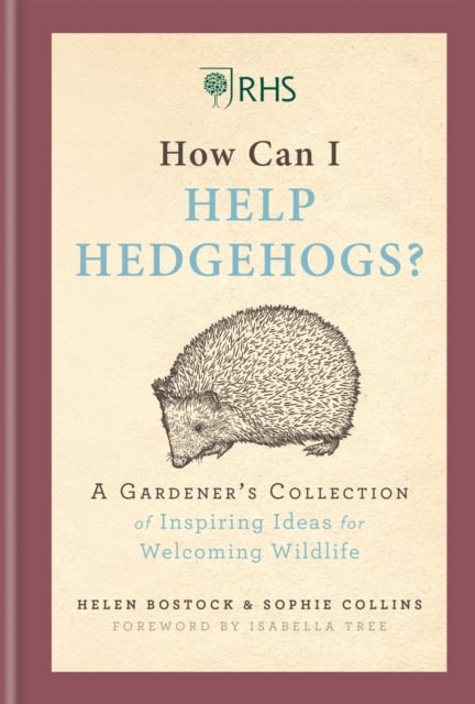 Book cover of RHS How Can I Help Hedgehogs?