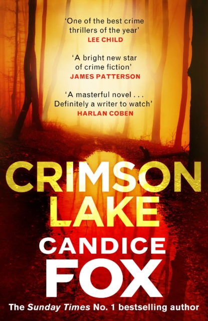Book cover of Crimson Lake